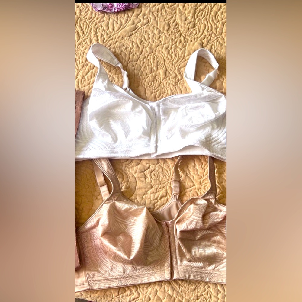 Elegant Women's Lace Bras - Black, White, Brown & Cream
